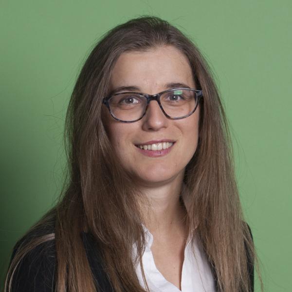 Гостиско предавање: Testing of Spring web applications